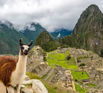 Machu Picchu en carro – 2 días