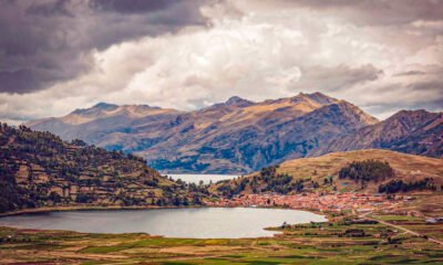 Excursión a las 4 lagunas – Avistamiento de aves
