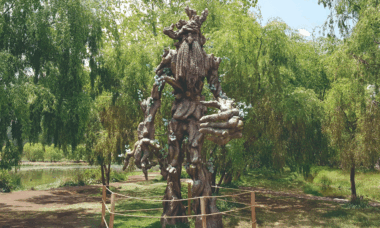 Ruta del Misterio: Humedal de Huasao & Duendes