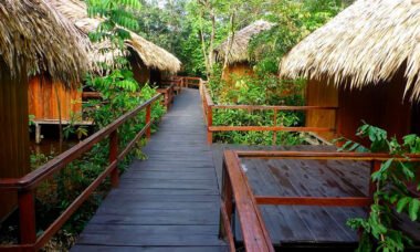 Campamento Pariamanu Tour 2 días 1 noche