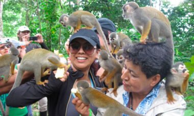 Tour Isla de los Monos + Kayak + Tirolina