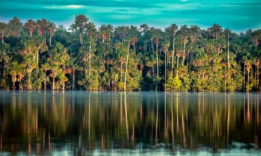 Lago Sandoval 4 días y 3 noches