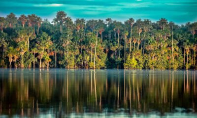 Lago Sandoval 4 días y 3 noches