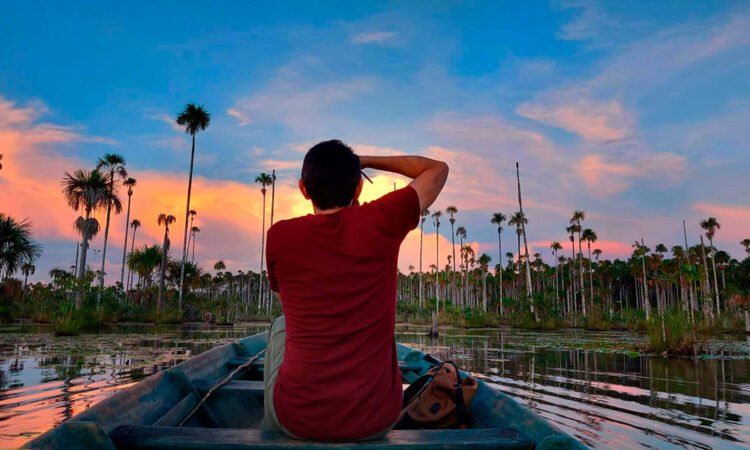 TOUR SELVATICO EN PUERTO MALDONADO + LAGO YACUMAMA 4 DIAS