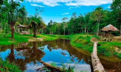 Excursión a Tambopata tour 2D