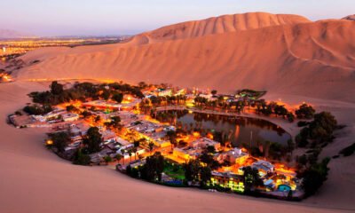 Desde lima Paracas + Ica + Huacachina Full Day